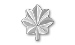 LTC, 1 silver oak leaf.