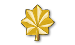 MAJ, 1 golden oak leaf.