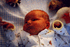 Jackson Raymond Mount