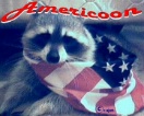 hIT HERE TO&nbsp; THE&nbsp; COON&nbsp; SPIRIT