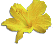 ... liked the flower