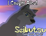 bark bark