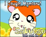 Ham Ham!
