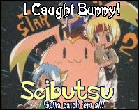 Come on Bunny