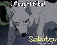 Kiba
