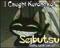 ^O.O^ meow