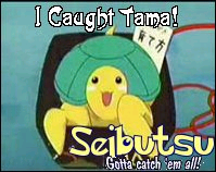 Tama-chan