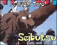 Pantyhose Taro