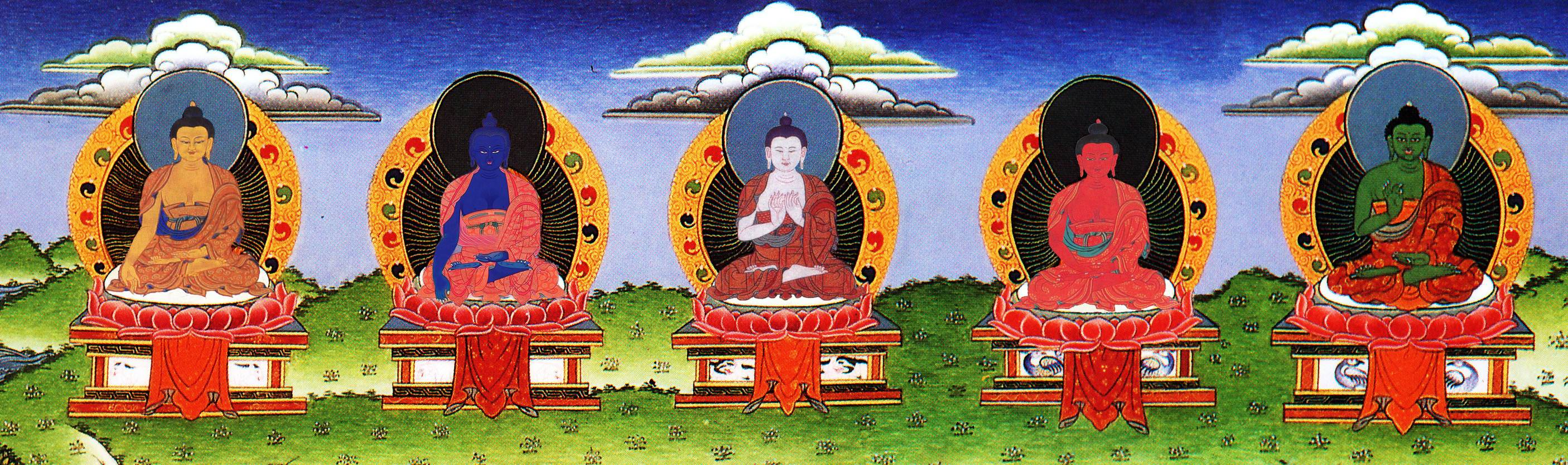 5aadhyani