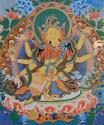 z_vasudhara