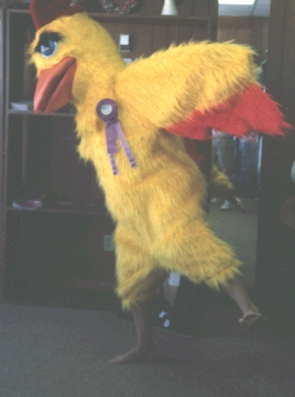 chicken
