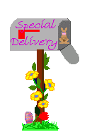 e-mail