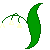 lily of the valley