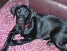 Flo-Jo at 5 months