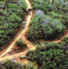 Trailnet.org