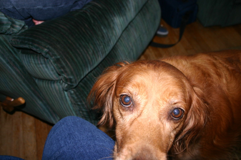 Can't forget Penny!