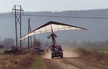 hang gliding picture