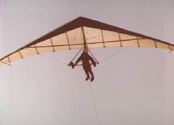 hang gliding picture