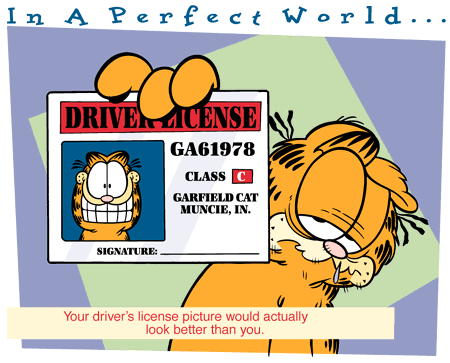 Your driving license picture would actually look better than you!!!
