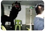 A lion...Rooar!!...Actually,it's the Chinese traditional lion dance