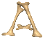 *