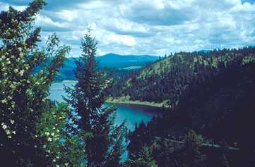 nature in Idaho