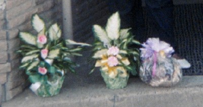 Mae's flower store