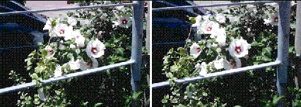 gif/e/3d-blm11.gif