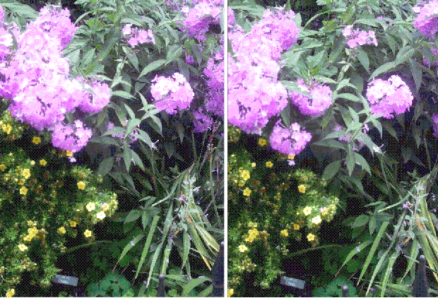 gif/e/3d-blm2.gif