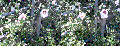 gif/e/3d-blm8.gif