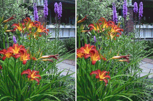 gif/e/3d-blue2.gif