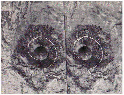 gif/e/50.gif