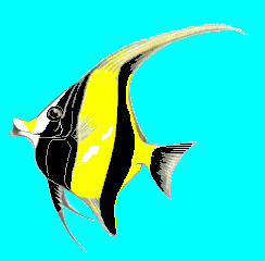 gif/e/angelfish.gif