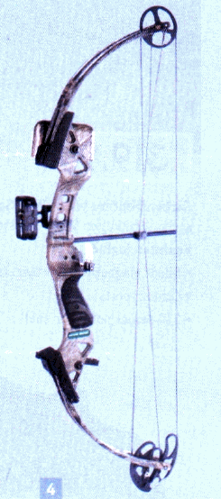 gif/e/bow.gif