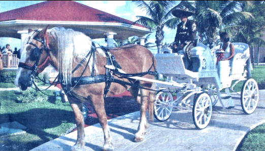gif/e/carrg.gif