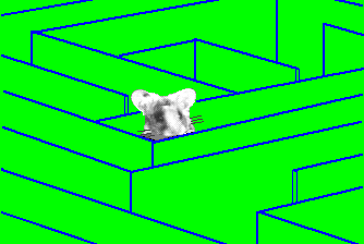 gif/e/cheatg.gif
