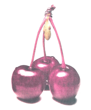 gif/e/cherry.gif