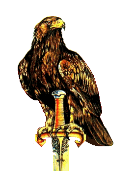 gif/e/eaglew.gif
