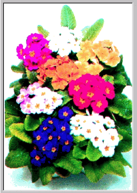 gif/e/flowers.gif