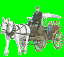 gif/e/hrsnwgn.gif