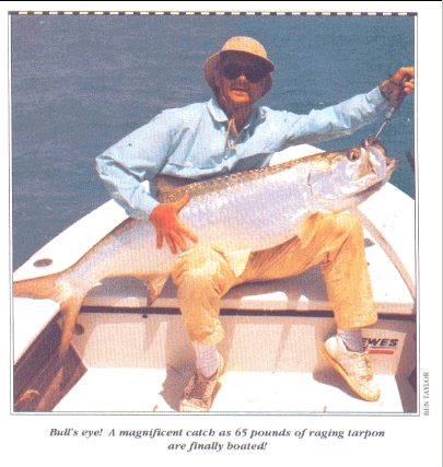 gif/e/tarpon.gif