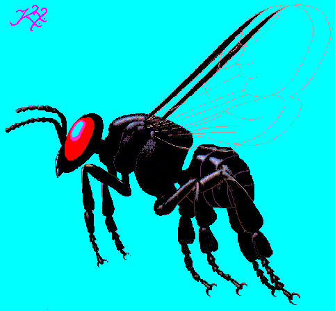 gif/fly2.gif