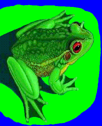 gif/frog.gif
