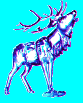 gif/jwlrymse.gif