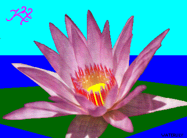 gif/lily.gif