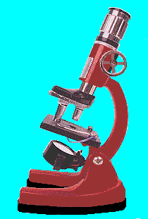gif/micro.gif