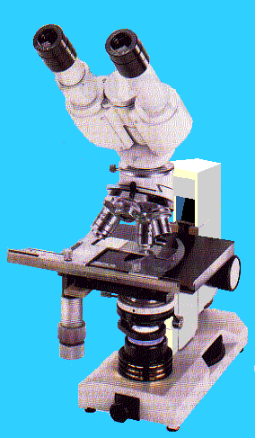gif/multiscp.gif