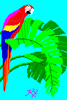 gif/parot.gif