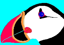gif/puffin.gif
