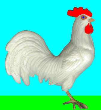 gif/rooster3.gif